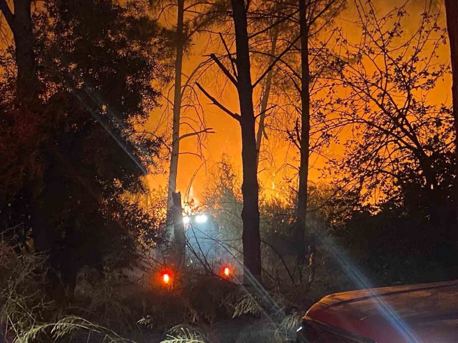 Antalya’da Ormanlık Alanda Yangın