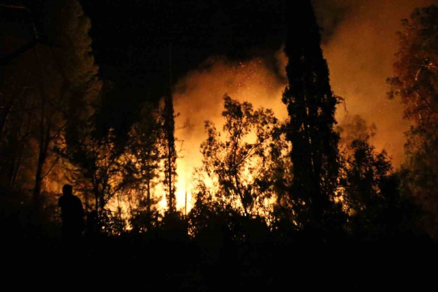 Antalya’da Ormanlık Alanda Yangın