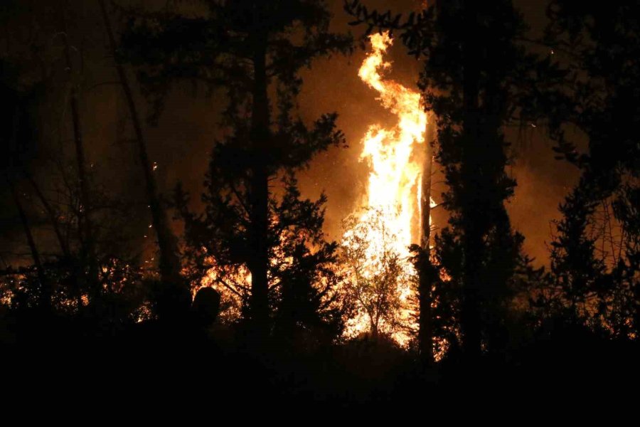 Antalya’da Ormanlık Alanda Yangın