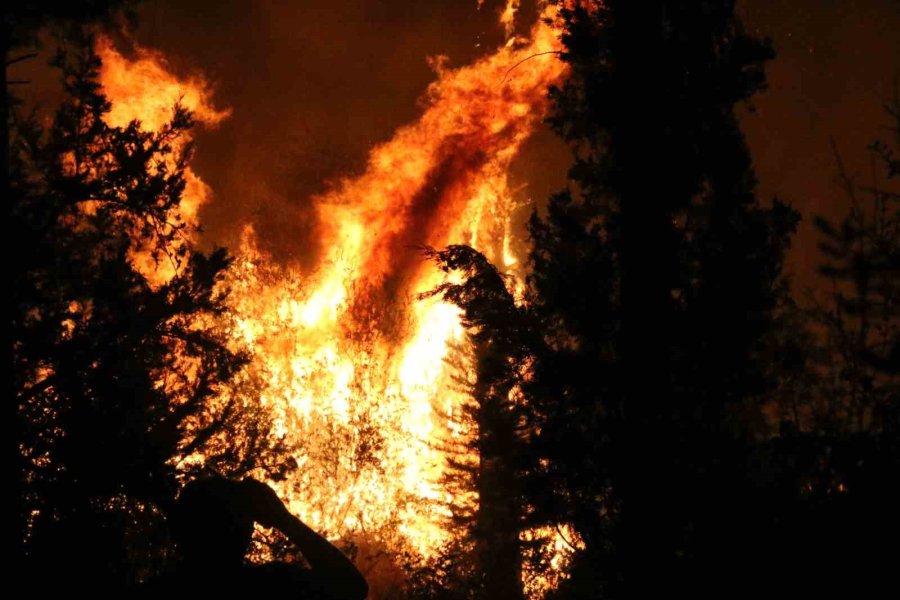 Antalya’da Ormanlık Alanda Yangın