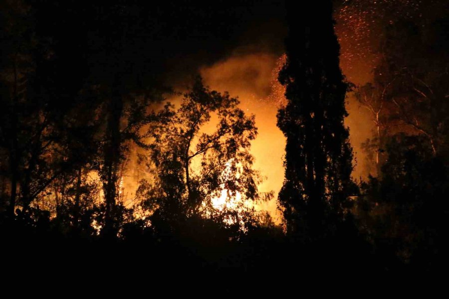 Antalya’da Ormanlık Alanda Yangın
