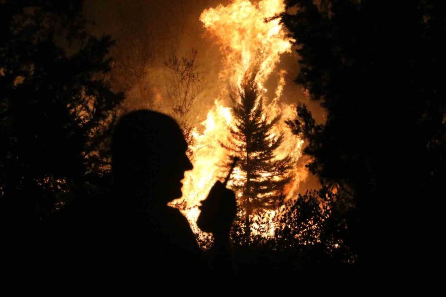 Antalya’da Ormanlık Alanda Yangın
