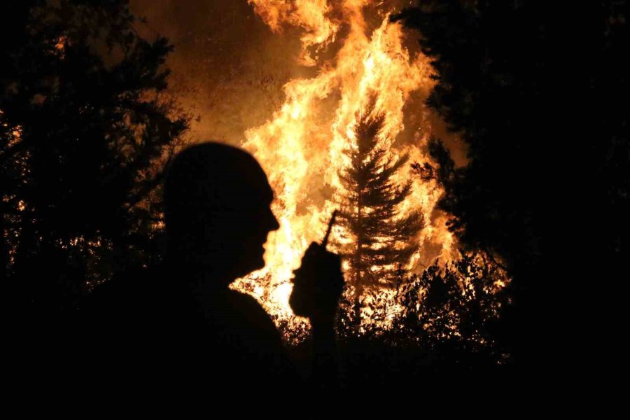 Antalya’da Ormanlık Alanda Yangın