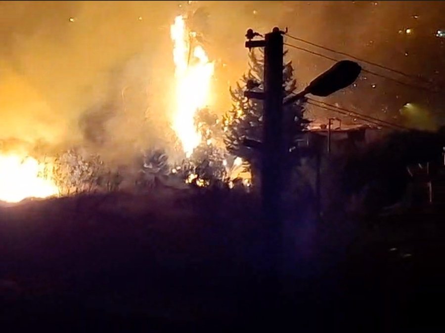 Antalya’da Yerleşim Alanına Yakın Sazlık Alanda Yangın Paniği