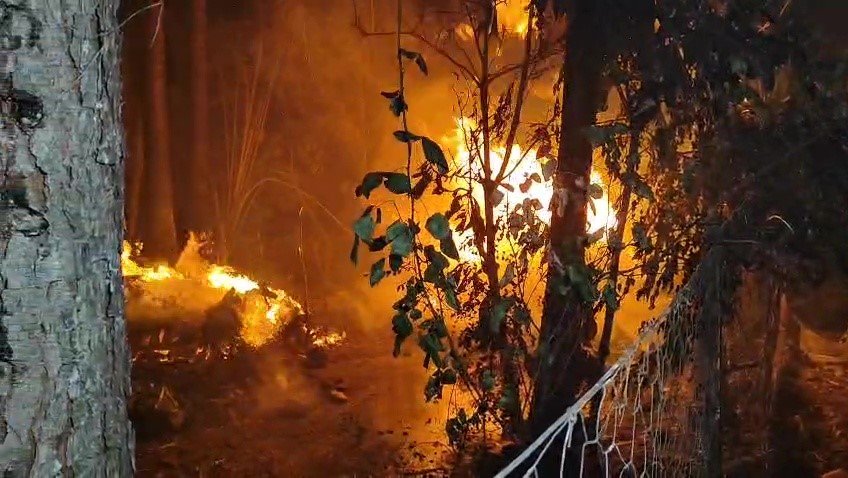 Antalya’da Yerleşim Alanına Yakın Sazlık Alanda Yangın Paniği