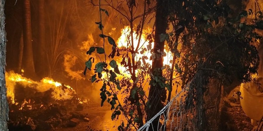 Antalya’da Yerleşim Alanına Yakın Sazlık Alanda Yangın Paniği