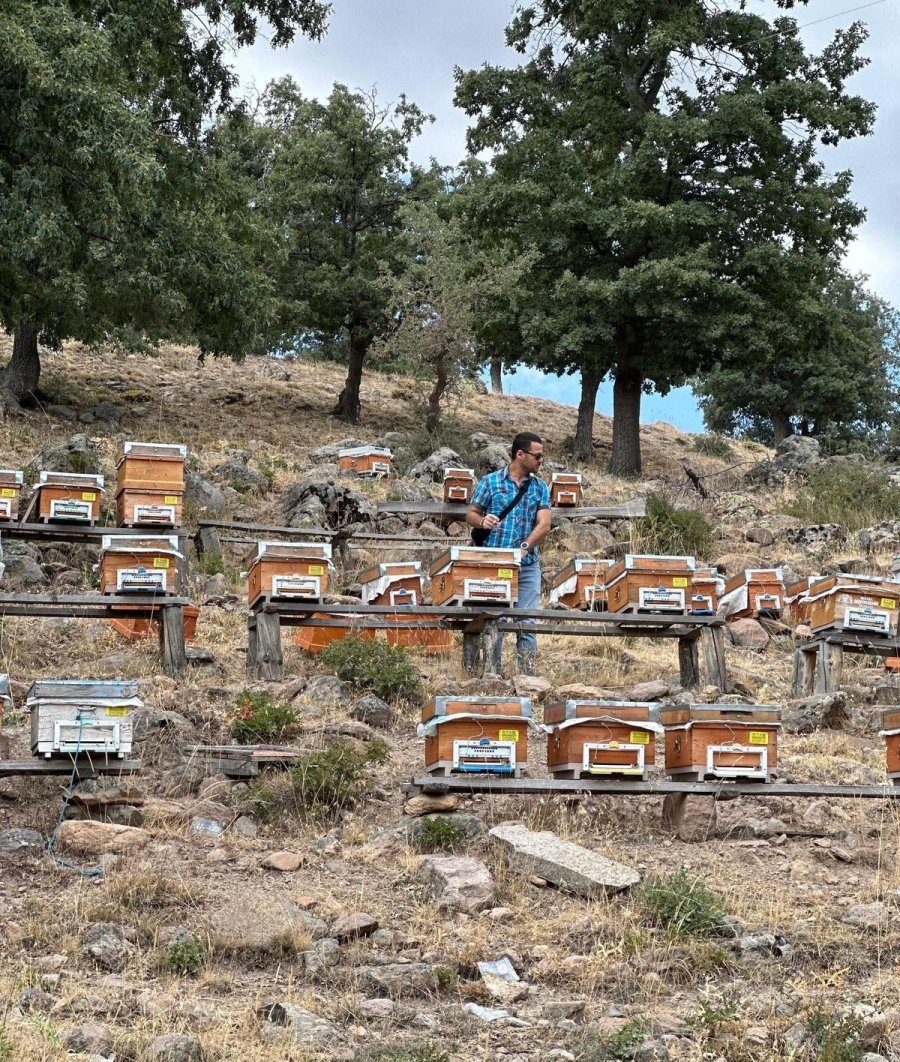Beyşehir’de Arılı Kovan Sayımları Yapılıyor