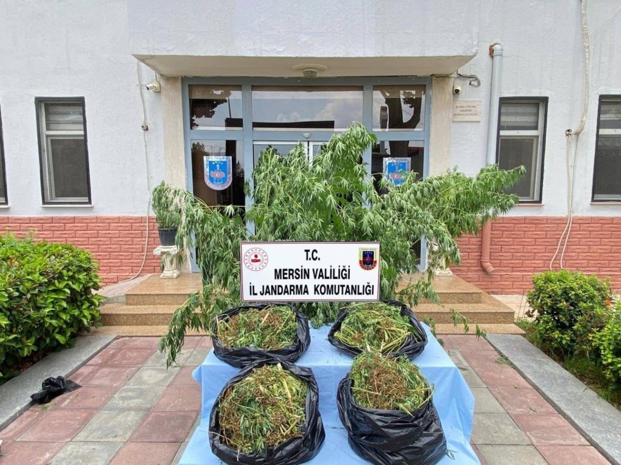 Mersin’de Zehir Tacirlerine Darbe