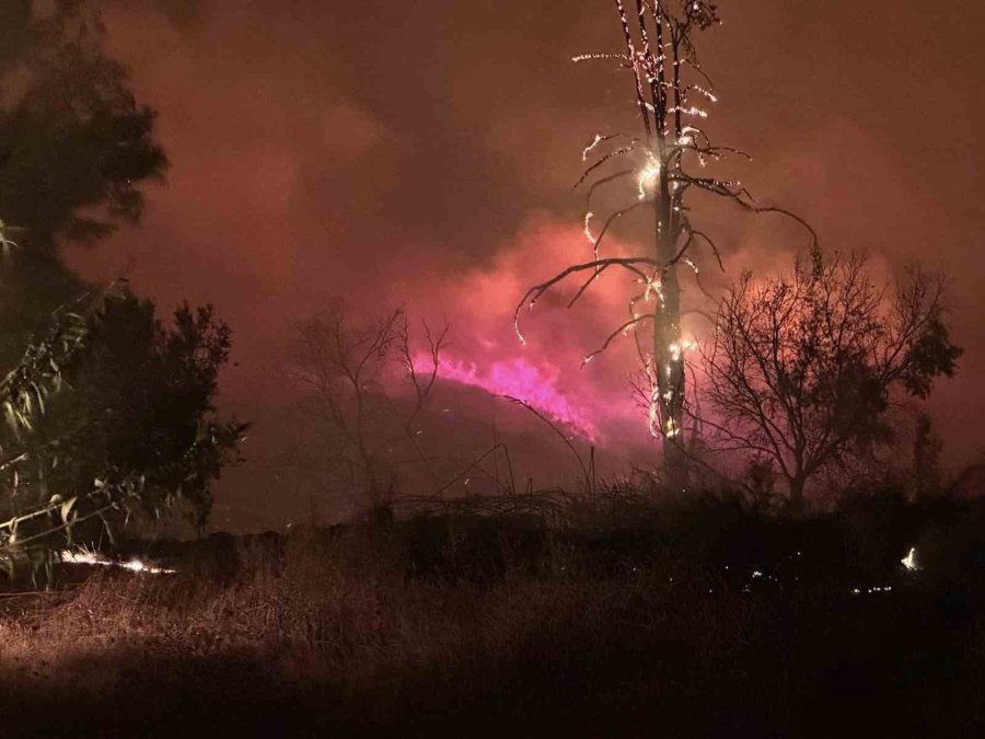 Alanya Belediye Başkanı Özçelik Yangın Bölgesinde