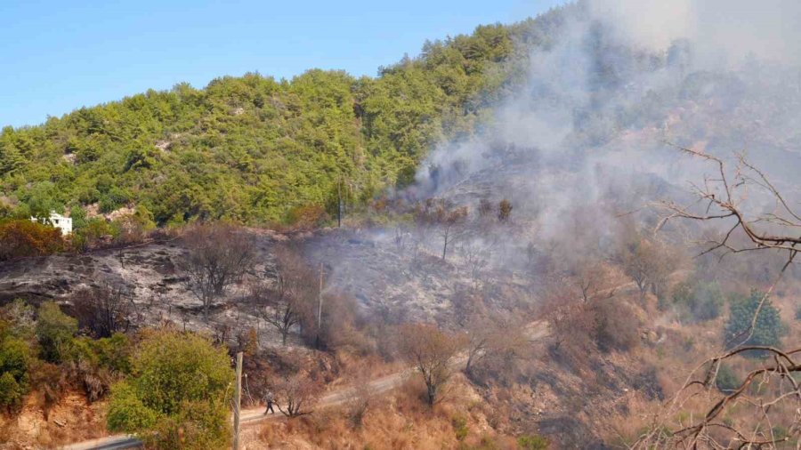 Alanya Belediye Başkanı Özçelik: "yangında İnsan Kaybımızın Olmaması Sevindirici"