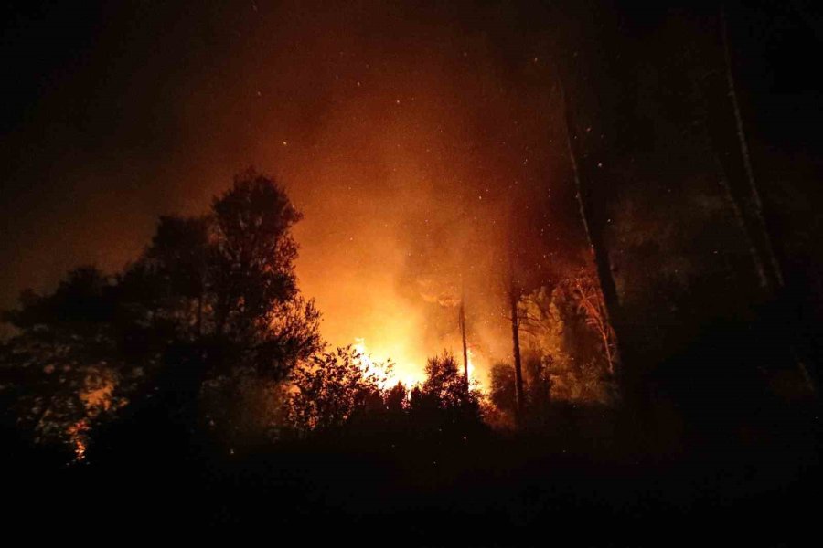 Antalya İtfaiyesi Üç İlçedeki Yangınlara 13 Araç Ve Çok Sayıda Personelle Müdahale Etti