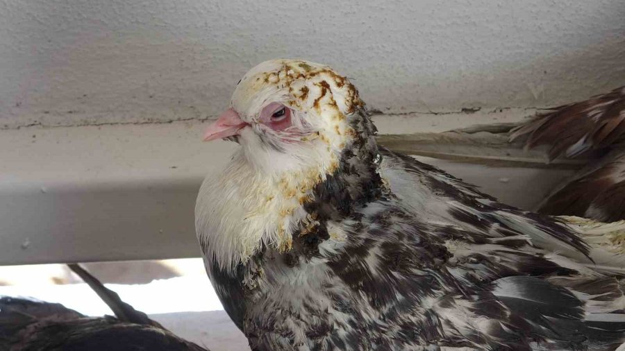 Mahalle Sakinleri Korku Ve Panik Dolu O Anları Anlattı