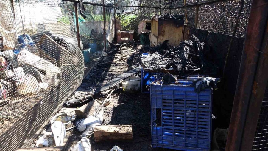 Mahalle Sakinleri Korku Ve Panik Dolu O Anları Anlattı