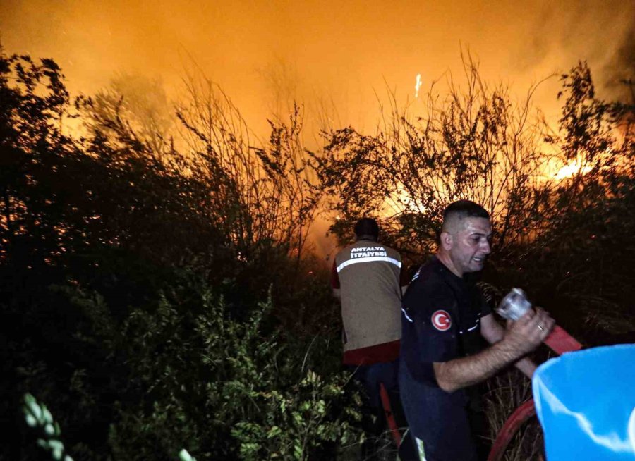 Antalya, Bir Gecede 2 İlçedeki 5 Ayrı Noktada Yangınla Mücadele Etti