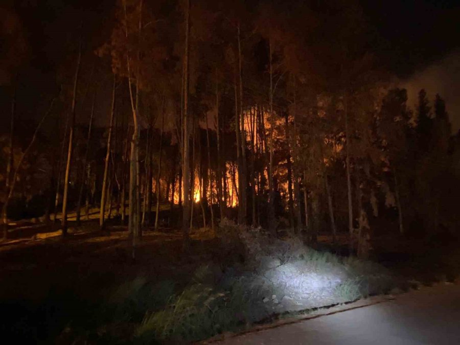 Antalya’da Ormanlık Alanda Yangın Kontrol Altına Alındı