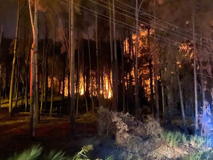 Antalya’da Ormanlık Alanda Yangın Kontrol Altına Alındı