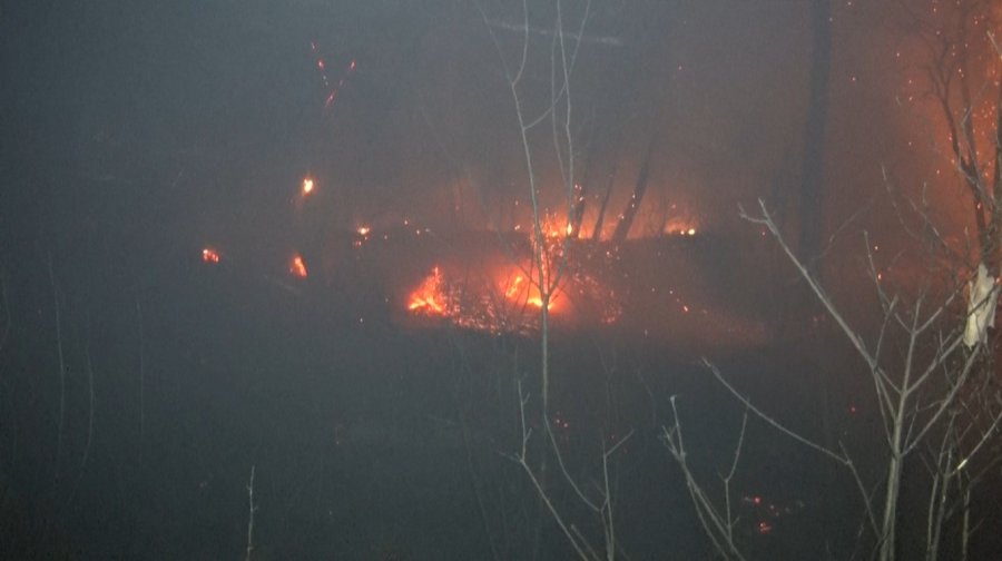 Antalya’da Ormanlık Alanda Yangın Kontrol Altına Alındı
