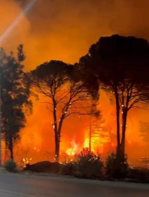 Antalya Aksu’da Ormanlık Alanda Yangın