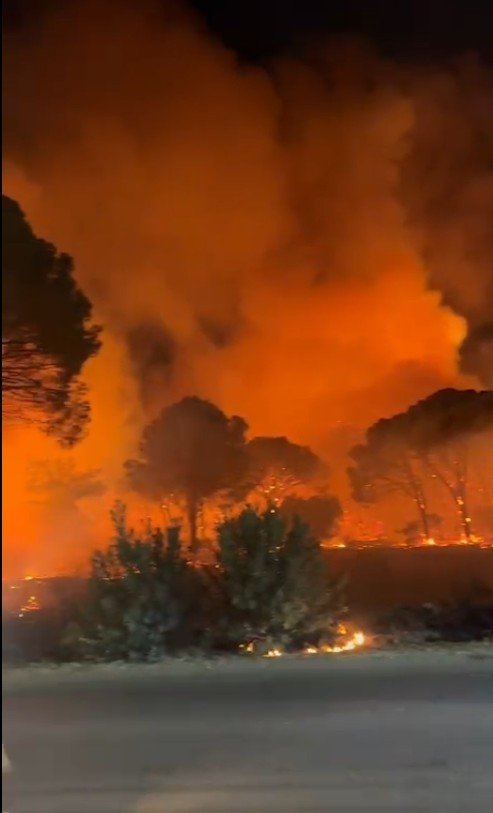 Antalya Aksu’da Ormanlık Alanda Yangın
