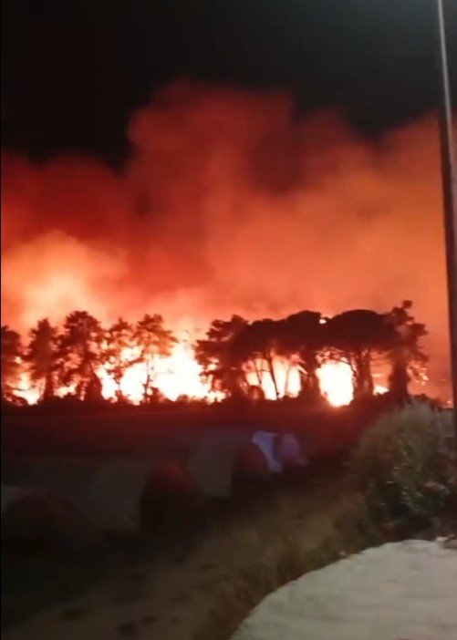 Antalya Aksu’da Ormanlık Alanda Yangın