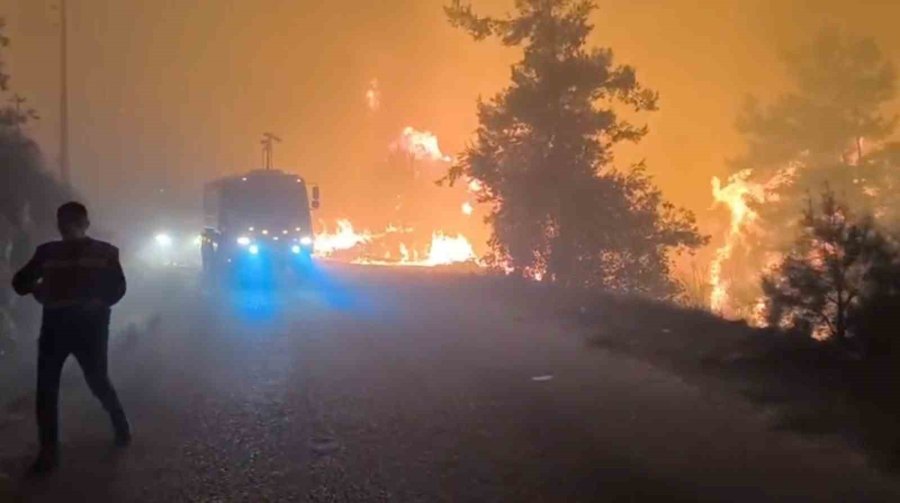 Alanya’da Orman Yangını