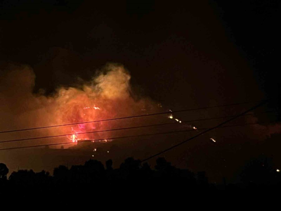 Alanya’da Orman Yangını