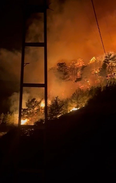 Alanya’da Ormanlık Alanda Yangın