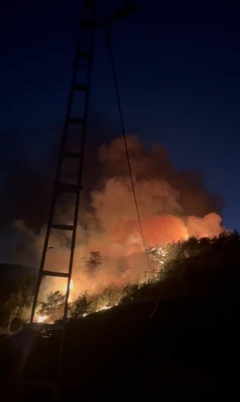 Alanya’da Ormanlık Alanda Yangın