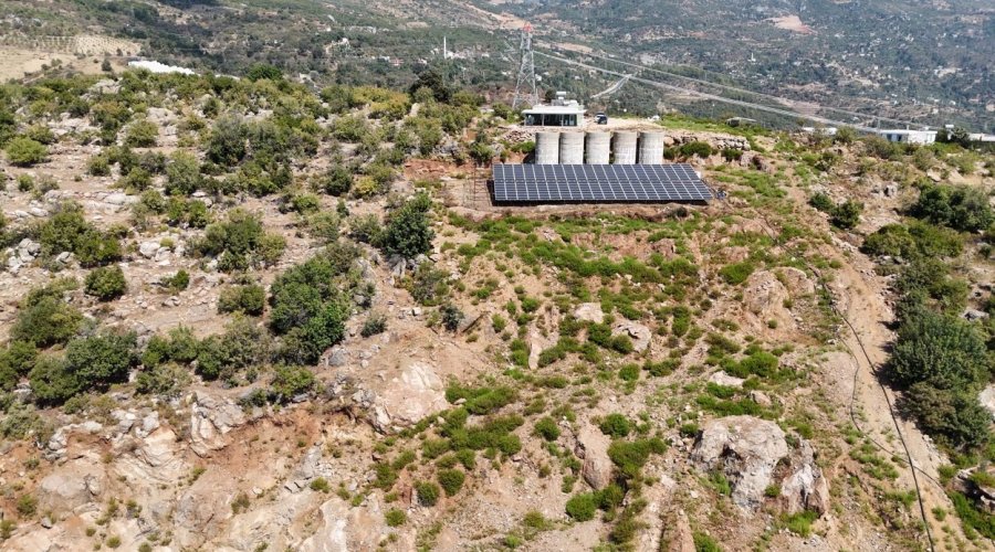 Engebeli Arazide Tropikal Meyve Başarısı: 104 Dönümlük Serada 20’den Fazla Çeşit Meyve Yetiştiriliyor