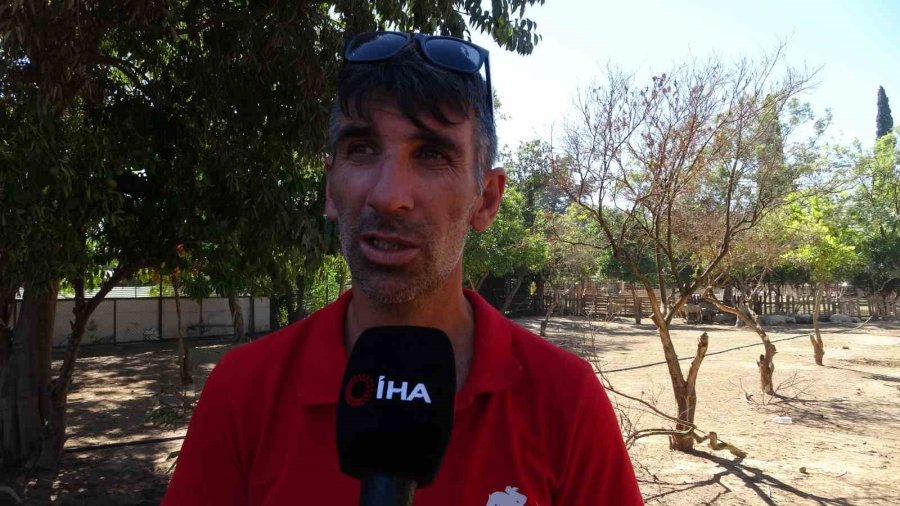 Mahalle Sakinleri Korku Ve Panik Dolu O Anları Anlattı