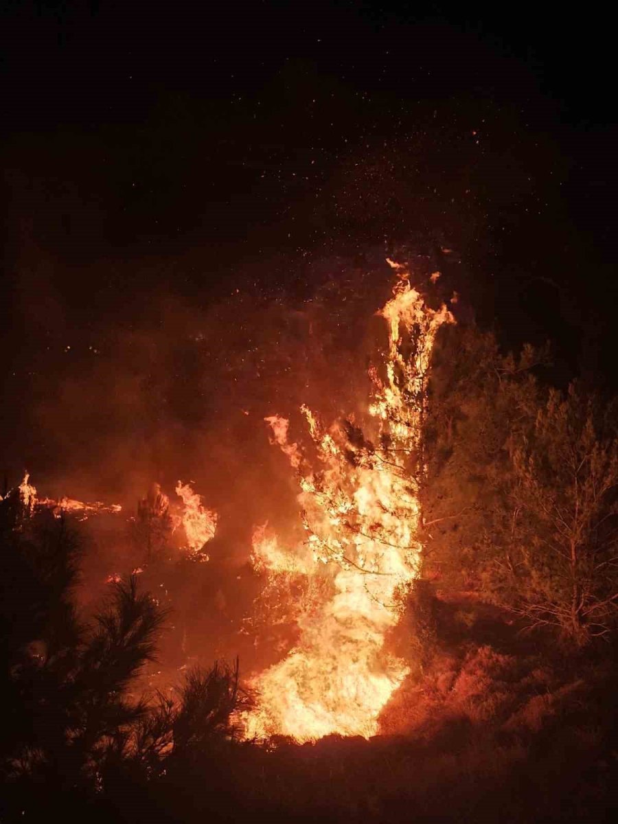 Düğün Sırasında Çalılık Alanda Yangın Çıktı: Ormana Sıçramadan Söndürüldü