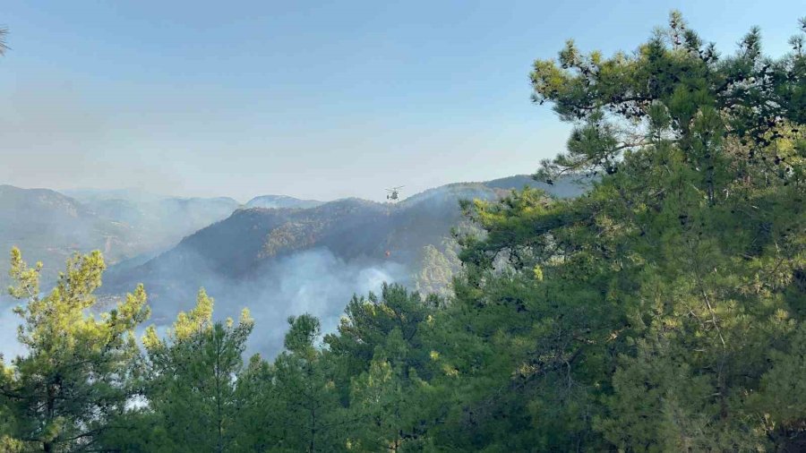 Alanya’da 3 Mahalledeki Orman Yangını Kontrol Altında: 400 Hektar Alan Zarar Gördü