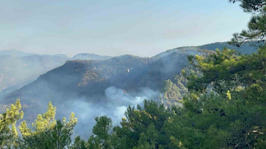 Alanya’da 3 Mahalledeki Orman Yangını Kontrol Altında: 400 Hektar Alan Zarar Gördü