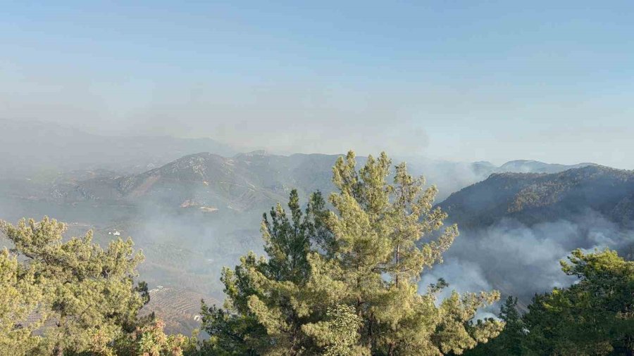 Alanya’da 3 Mahalledeki Orman Yangını Kontrol Altında: 400 Hektar Alan Zarar Gördü