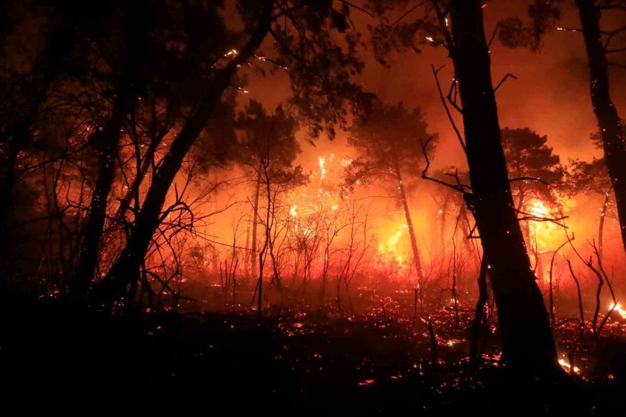 Antalya’da Otellere Yakın Ormanlık Alanda Çıkan Yangın Kontrol Altına Alındı