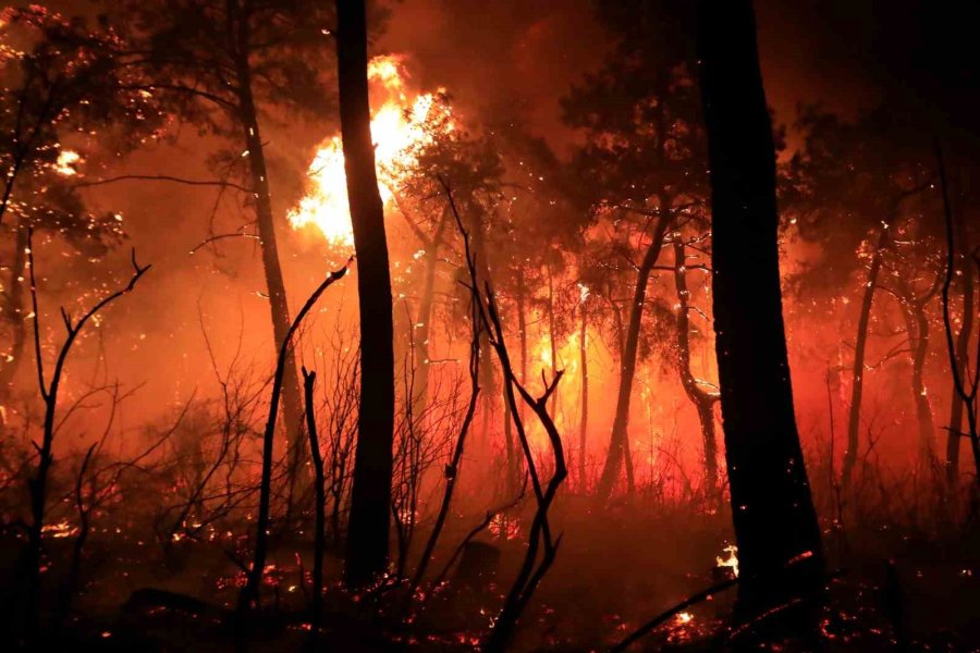Antalya’da Otellere Yakın Ormanlık Alanda Çıkan Yangın Kontrol Altına Alındı