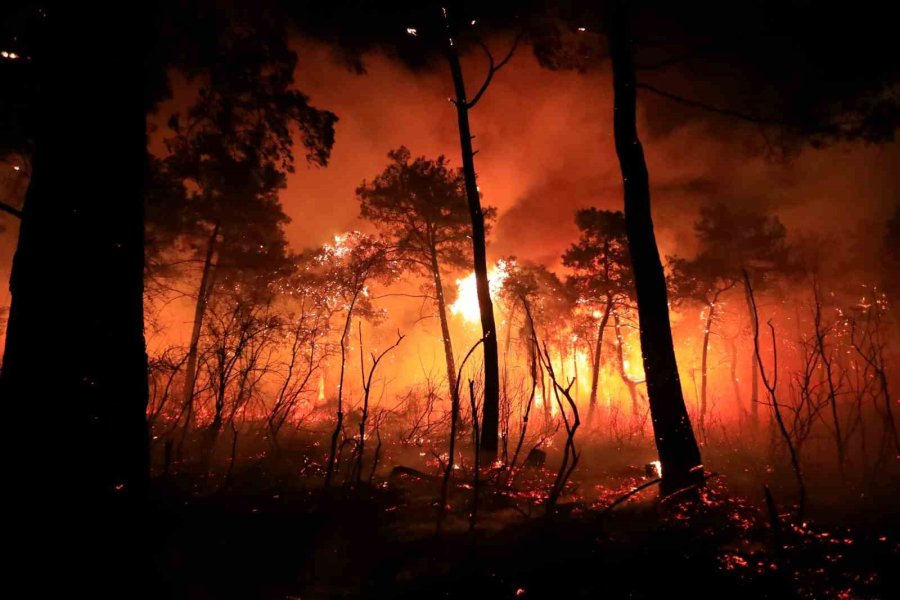 Antalya’da Otellere Yakın Ormanlık Alanda Çıkan Yangın Kontrol Altına Alındı