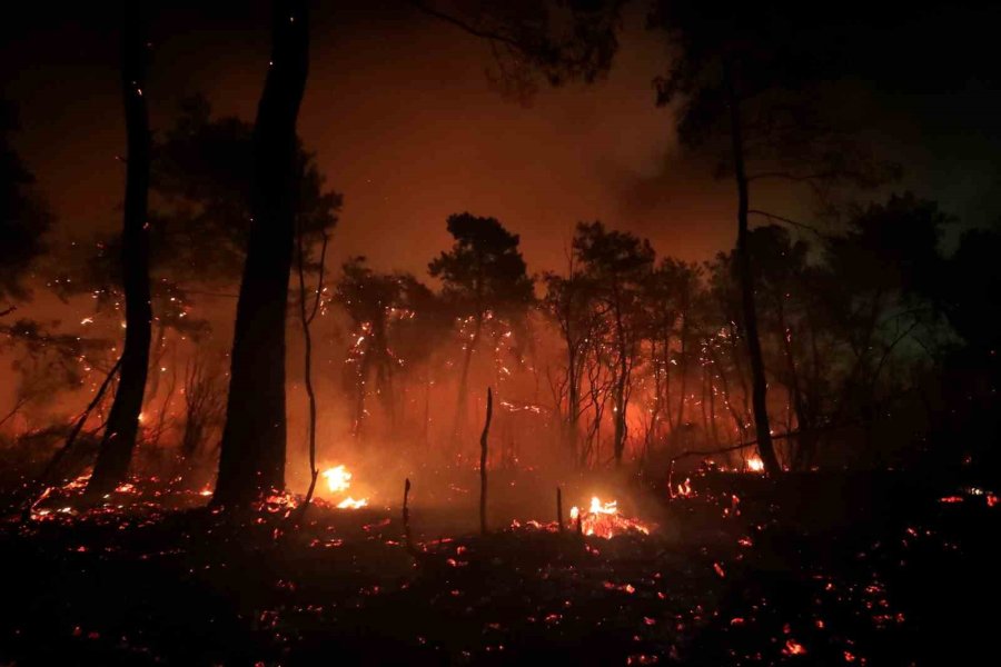 Antalya’da Otellere Yakın Ormanlık Alanda Çıkan Yangın Kontrol Altına Alındı