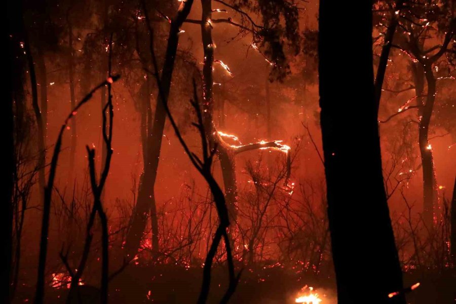Antalya’da Otellere Yakın Ormanlık Alanda Çıkan Yangın Kontrol Altına Alındı