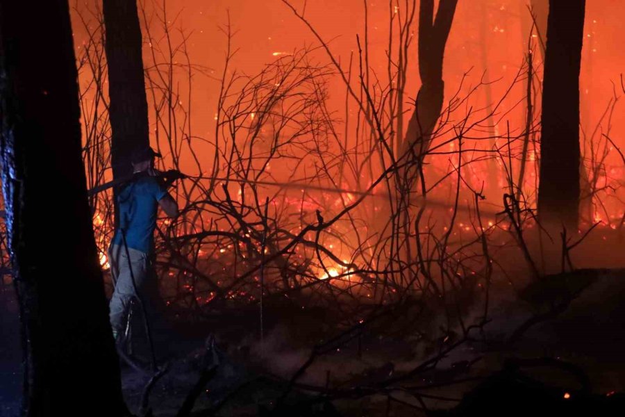 Antalya’da Otellere Yakın Ormanlık Alanda Çıkan Yangın Kontrol Altına Alındı