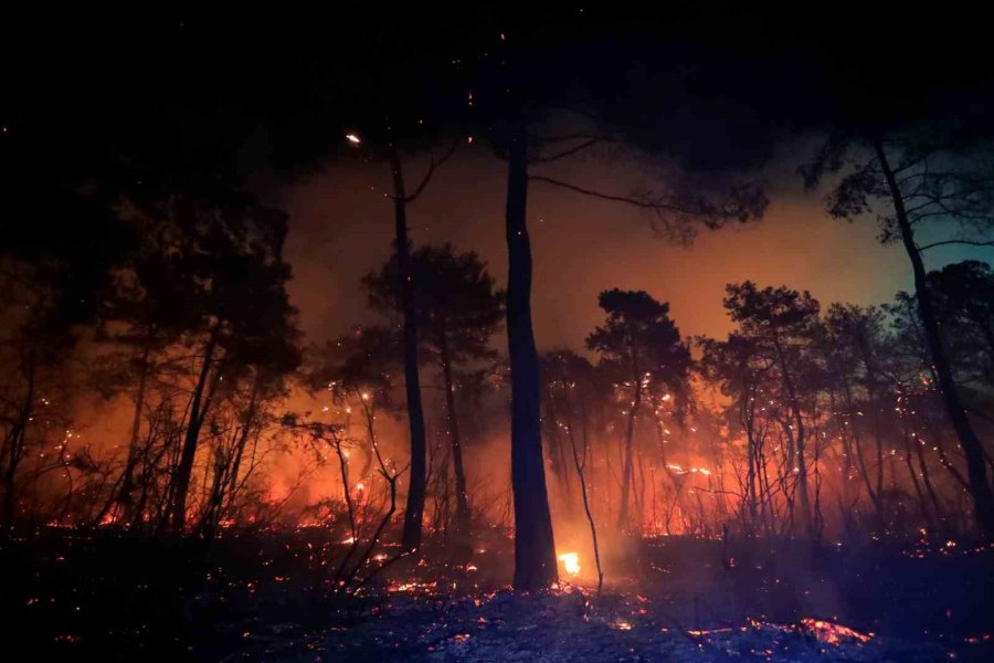 Antalya’da Otellere Yakın Ormanlık Alanda Çıkan Yangın Kontrol Altına Alındı
