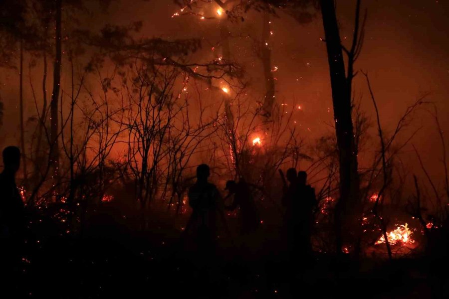 Antalya’da Otellere Yakın Ormanlık Alanda Çıkan Yangın Kontrol Altına Alındı