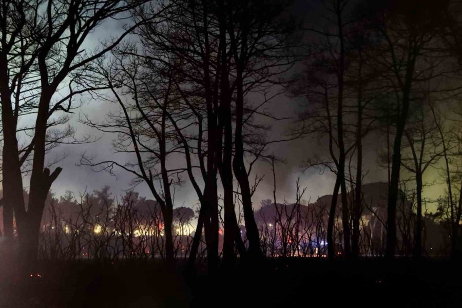 Antalya’da Otellere Yakın Ormanlık Alanda Çıkan Yangın Kontrol Altına Alındı