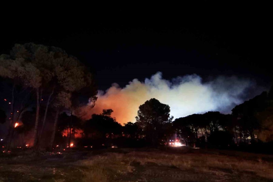 Antalya’da Otellere Yakın Ormanlık Alanda Çıkan Yangın Kontrol Altına Alındı