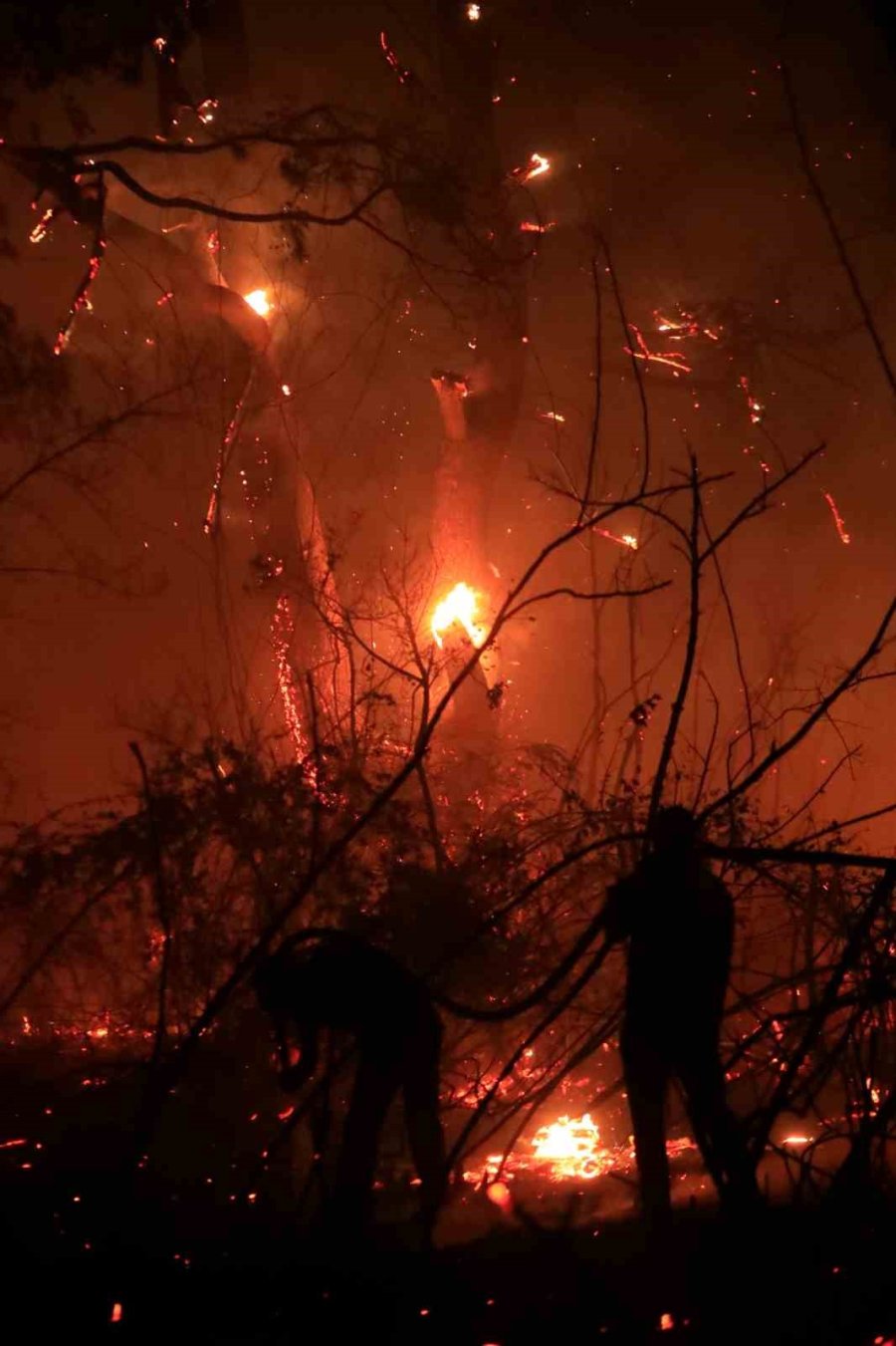 Antalya’da Otellere Yakın Ormanlık Alanda Çıkan Yangın Kontrol Altına Alındı