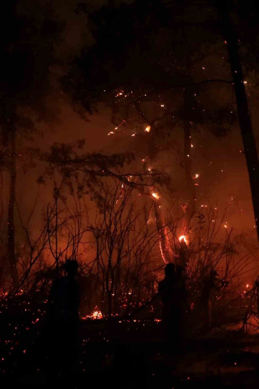 Antalya’da Otellere Yakın Ormanlık Alanda Çıkan Yangın Kontrol Altına Alındı