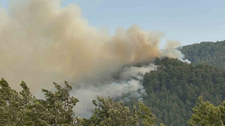 Alev Savaşçılarına Kadınlardan ‘pişi’ Desteği