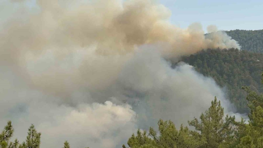 Alev Savaşçılarına Kadınlardan ‘pişi’ Desteği