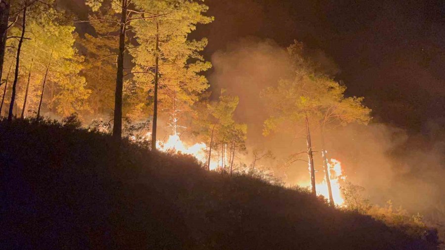 Alanya’da Ormanlık Alandaki Yangın