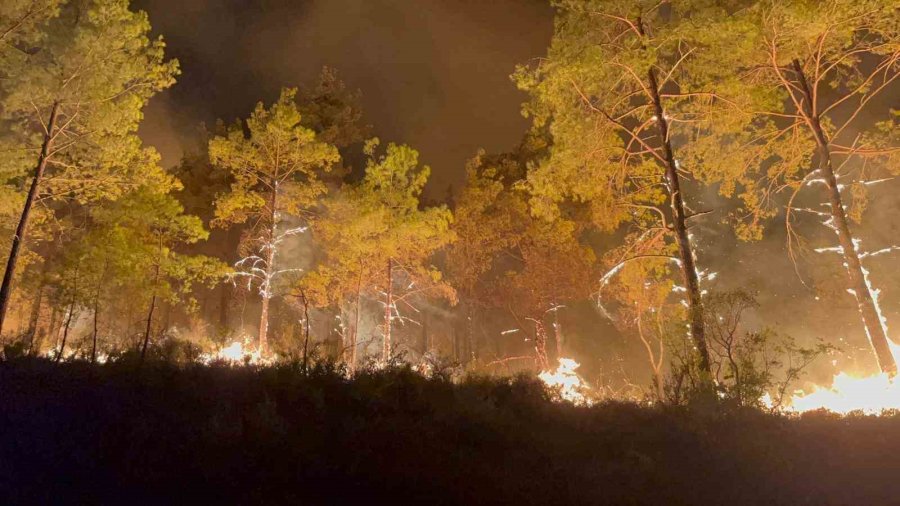 Alanya’da Ormanlık Alandaki Yangın